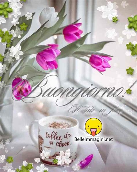 immagini nuove buongiorno|buon giorno immagini aggiornate.